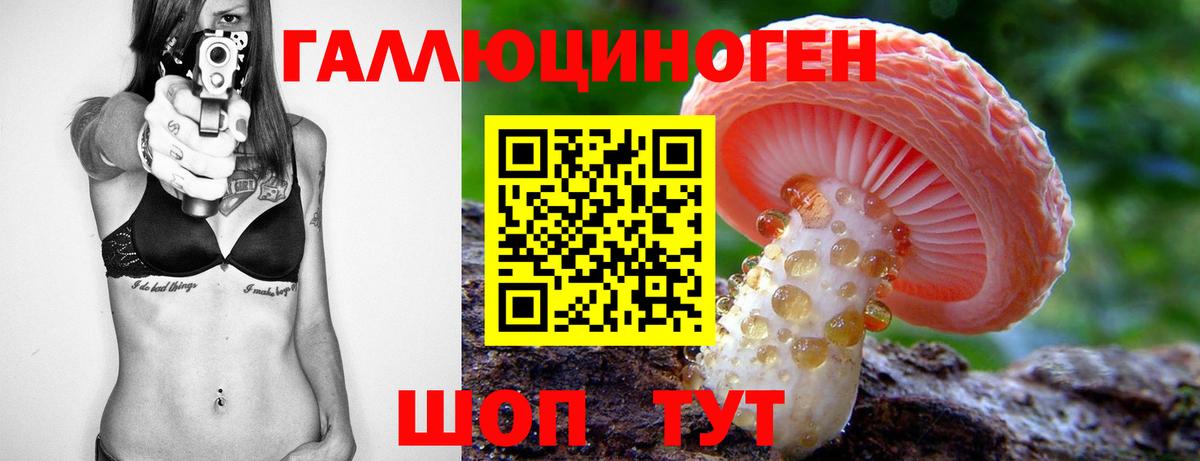 Благодарный  Галлюциногенные грибы MAGIC MUSHROOMS  Вход с VPN 