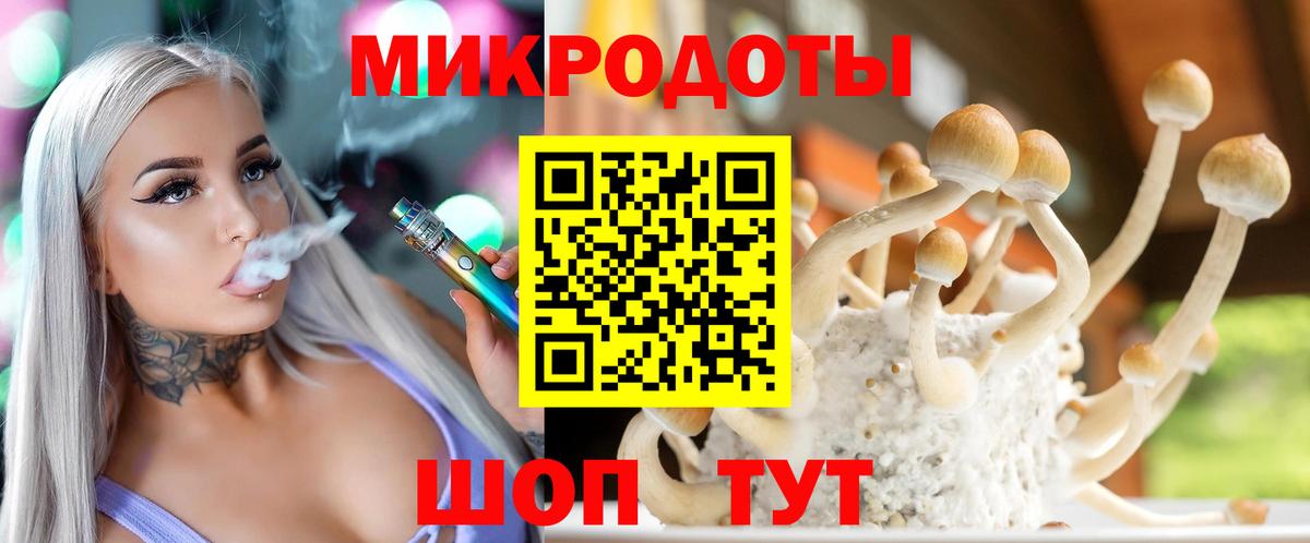 Галлюциногенные грибы Psilocybine cubensis Благодарный