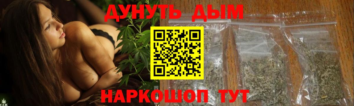 Марихуана план  Бошки марихуана сатива  Вход с VPN  Благодарный 